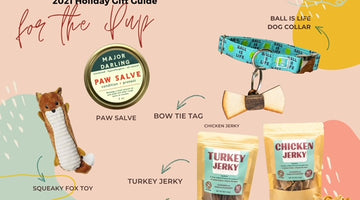 For the one you WOOF: pup gift guide