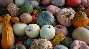 October 2021 at Mosaic Makers Collective