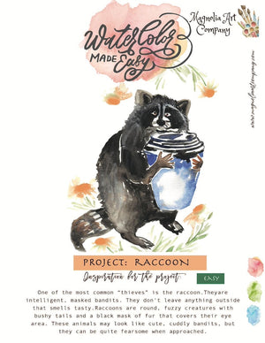 Raccoon Watercolor Kit- Watercolor Made Easy - 1