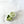 Load image into Gallery viewer, Cucumber Mint Sugar Body Scrub - 2
