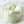Load image into Gallery viewer, Cucumber Mint Sugar Body Scrub - 3