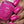 Load image into Gallery viewer, Yabba Dabba Do - Pink Nail Polish - 5