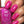 Load image into Gallery viewer, Mr. Mint - Pink Nail Polish - 6