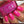 Load image into Gallery viewer, Mr. Mint - Pink Nail Polish - 7