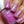Load image into Gallery viewer, Wish - Pink Nail Polish - 7