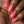 Load image into Gallery viewer, Shimmering Sunburst - Coral Nail Polish - 6