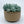 Load image into Gallery viewer, Concrete Succulent Garden Container - Ribbed - 5