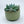 Load image into Gallery viewer, Concrete Succulent Garden Container - Ribbed - 6