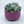 Load image into Gallery viewer, Concrete Succulent Garden Container - Ribbed - 7