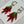 Load image into Gallery viewer, Red Pepper Glass Earrings - 2