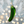 Load image into Gallery viewer, Joliday Jalapeño Christmas Ornament - 2