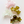 Load image into Gallery viewer, Medium Translucent Triple Floral Cluster Hair Claw Clips - 1