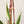 Load image into Gallery viewer, Macrame Plant Hanger With No Tassels - 5