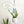 Load image into Gallery viewer, Handmade Daisy Plant Hangers - 7