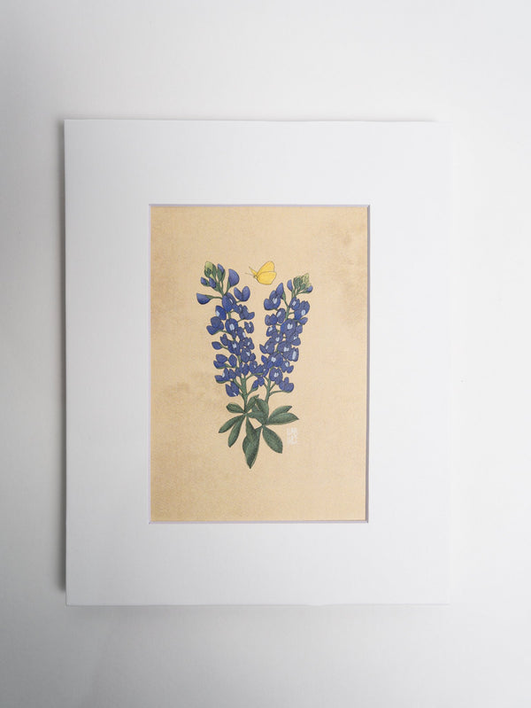 Bluebonnets and Butterfly Art Print - 2