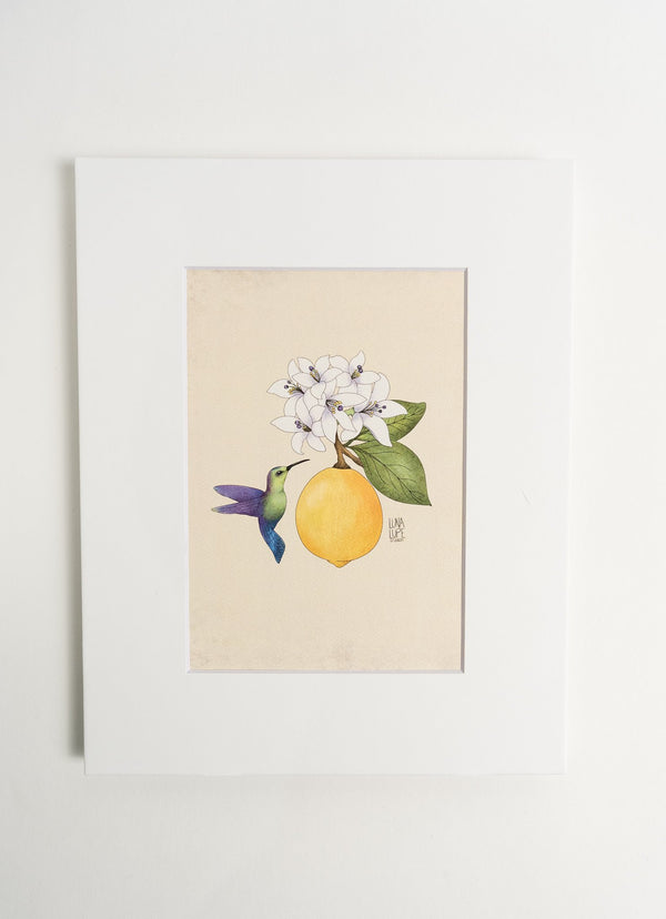 Hummingbird and Lemon Fruit Art Print  - 2
