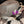 Load image into Gallery viewer, Gray Cow Hide Hat
