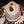 Load image into Gallery viewer, Beige and Brown Cowhide Hat
