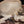 Load image into Gallery viewer, Beige and Brown Cowhide Hat