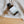 Load image into Gallery viewer, Shower Body OIl | Lemongrass & Eucalyptus