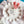 Load image into Gallery viewer, 611fc05e3c4ce80992caae23_img-0872_1754430975652.jpeg