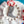 Load image into Gallery viewer, 611fc05e3c4ce80992caae23_img-0876_1754430516891.jpeg