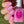 Load image into Gallery viewer, 611fc05e3c4ce80992caae23_img-0927_1749237947842.png