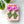 Load image into Gallery viewer, 611fc05e3c4ce80992caae23_img-2341_1751298362110.jpeg