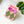 Load image into Gallery viewer, 611fc05e3c4ce80992caae23_img-2349_1751298362111.jpeg