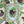 Load image into Gallery viewer, 611fc05e3c4ce80992caae23_img-2806_1748016250972.jpg