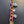 Load image into Gallery viewer, 611fc05e3c4ce80992caae23_img-5576_1755216971578.jpeg