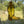 Load image into Gallery viewer, 611fc05e3c4ce80992caae23_img-5831_1755290776391.jpeg