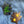 Load image into Gallery viewer, 611fc05e3c4ce80992caae23_img-5993_1747870284948.jpg
