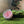 Load image into Gallery viewer, 611fc05e3c4ce80992caae23_img-8461_1753850181264.jpeg