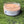 Load image into Gallery viewer, 611fc05e3c4ce80992caae23_img-8553_1753855859106.jpeg