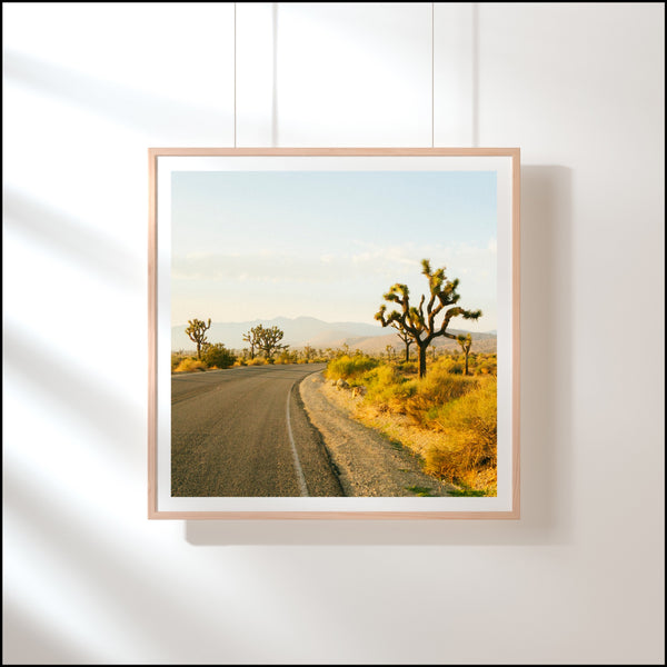 Open Road in Joshua Tree Print