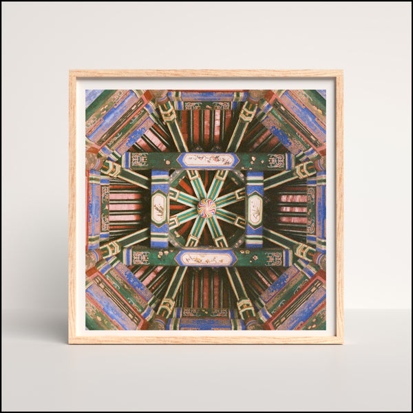 Details of the King's Palace Print