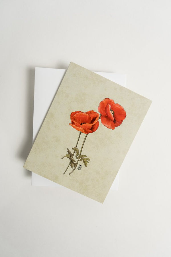 611fc05e3c4ce80992caae23_lls-product-redpoppy-card-3_1747881609443.jpg