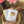 Load image into Gallery viewer, 611fc05e3c4ce80992caae23_lls-product-wildflower-card-1_1747881853068.jpg