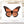 Load image into Gallery viewer, 611fc05e3c4ce80992caae23_monarch_1752700034898.jpg