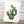 Load image into Gallery viewer, 611fc05e3c4ce80992caae23_prickly-pear-cactus-card-with-envelope_1753881544505.jpg