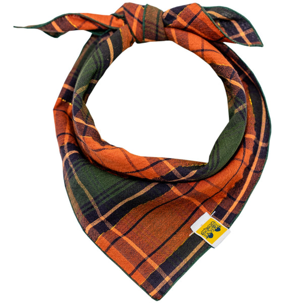 611fc05e3c4ce80992caae23_warm-autumn-plaid-bandana_1756393571018.jpg