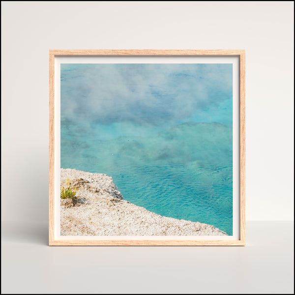 Hot Springs in Yellowstone