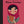 Load image into Gallery viewer, Malala Yousafzai - Little People, Big Dreams Books