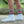 Load image into Gallery viewer, TX Gym Socks