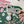 Load image into Gallery viewer, Bandana Brooch - Bow + Pearl