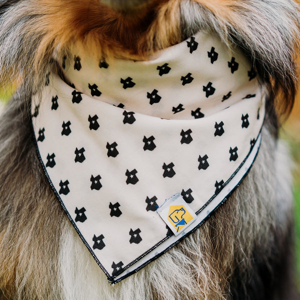 Texas State Dog Bandana - 3