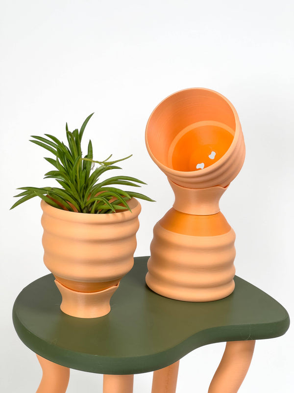 3" Small Wiggle Planters: Strawberry Lemonade