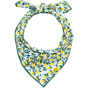 Limoncello Dog Bandana - 1