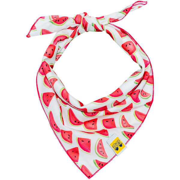 Watermelon Dog Bandana - 1